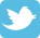 Twitter Icon
